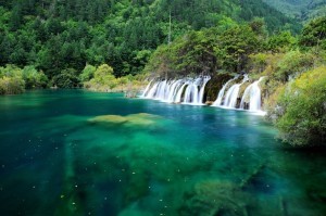 shutterstock_146450720