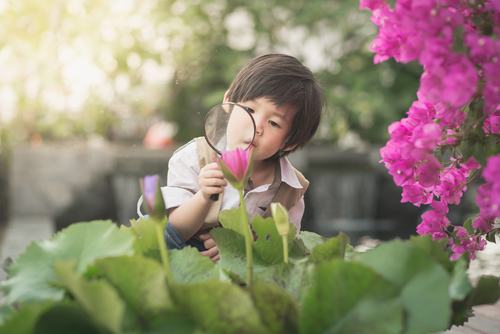 中国の小さな男の子が虫眼鏡で花を見ています。