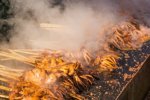 烟出の中国鸡肉串
