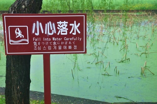 中国池の前にある漢字が書かれた看板。