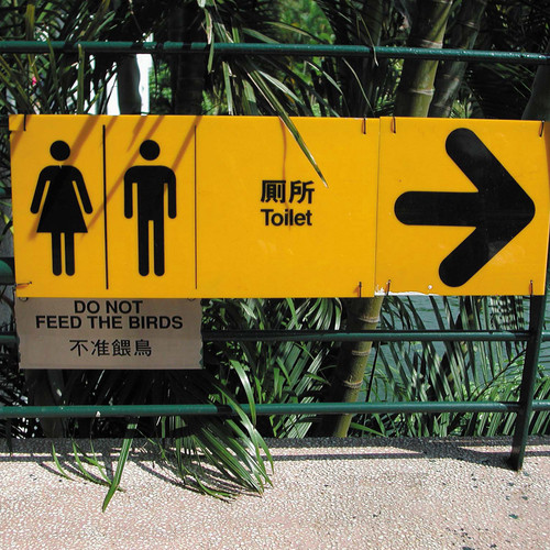 トイレを示す中国語の標識と鳥に餌を与える標識。