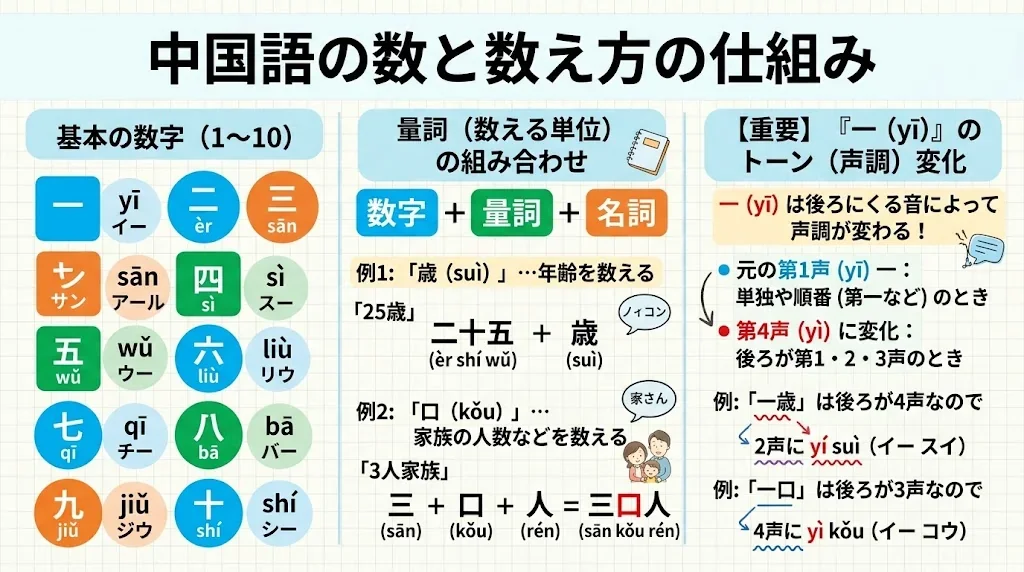 中国語の数字構造を色分けで図解したインフォグラフィック
