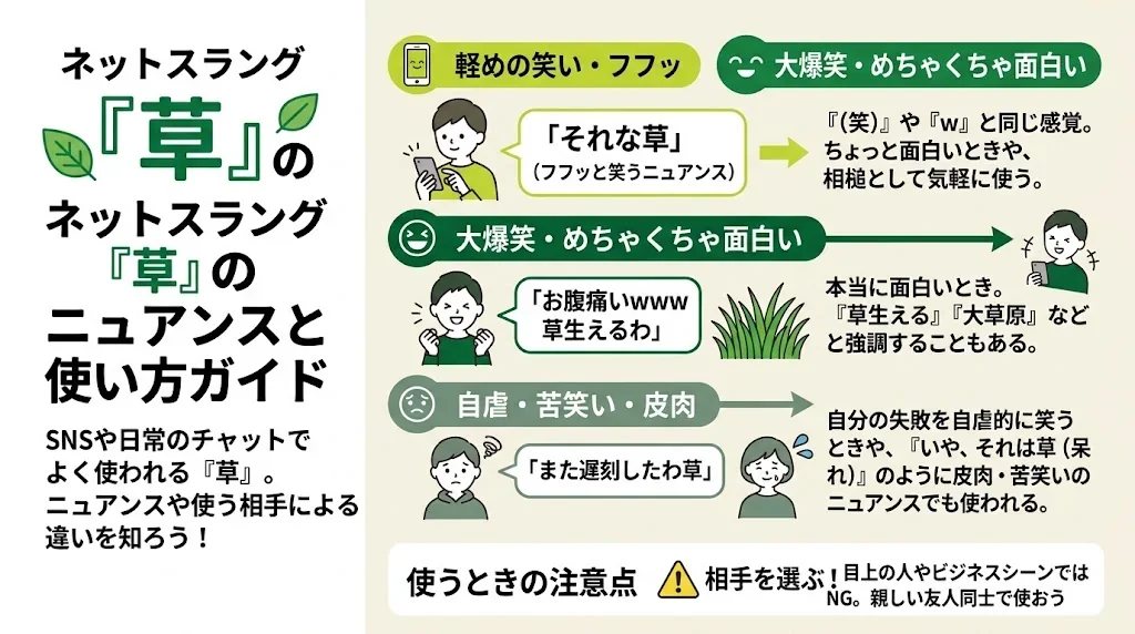 日常会話における「草」の使い方を解説したインフォグラフィック