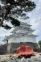 写真3