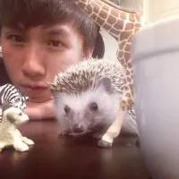 林 凱翔先生 メイン写真