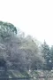 写真3