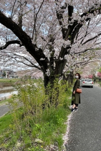 平山城址公園の16560先生