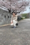写真3
