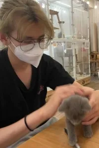 リ ヨウ先生