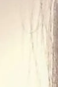 オウ シュウ先生