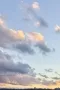 写真3