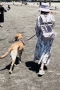 北鎌倉の18043先生