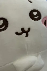 林 庆滔 先生