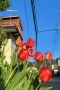 写真2